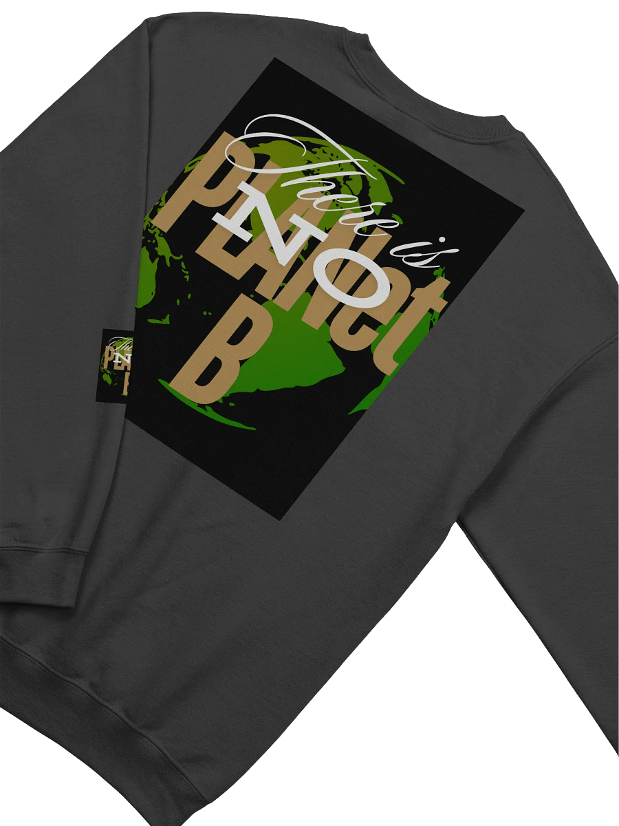 There is No PLANet B Crewneck Sweatshirt | Stand for the Planet in Style product image (4)