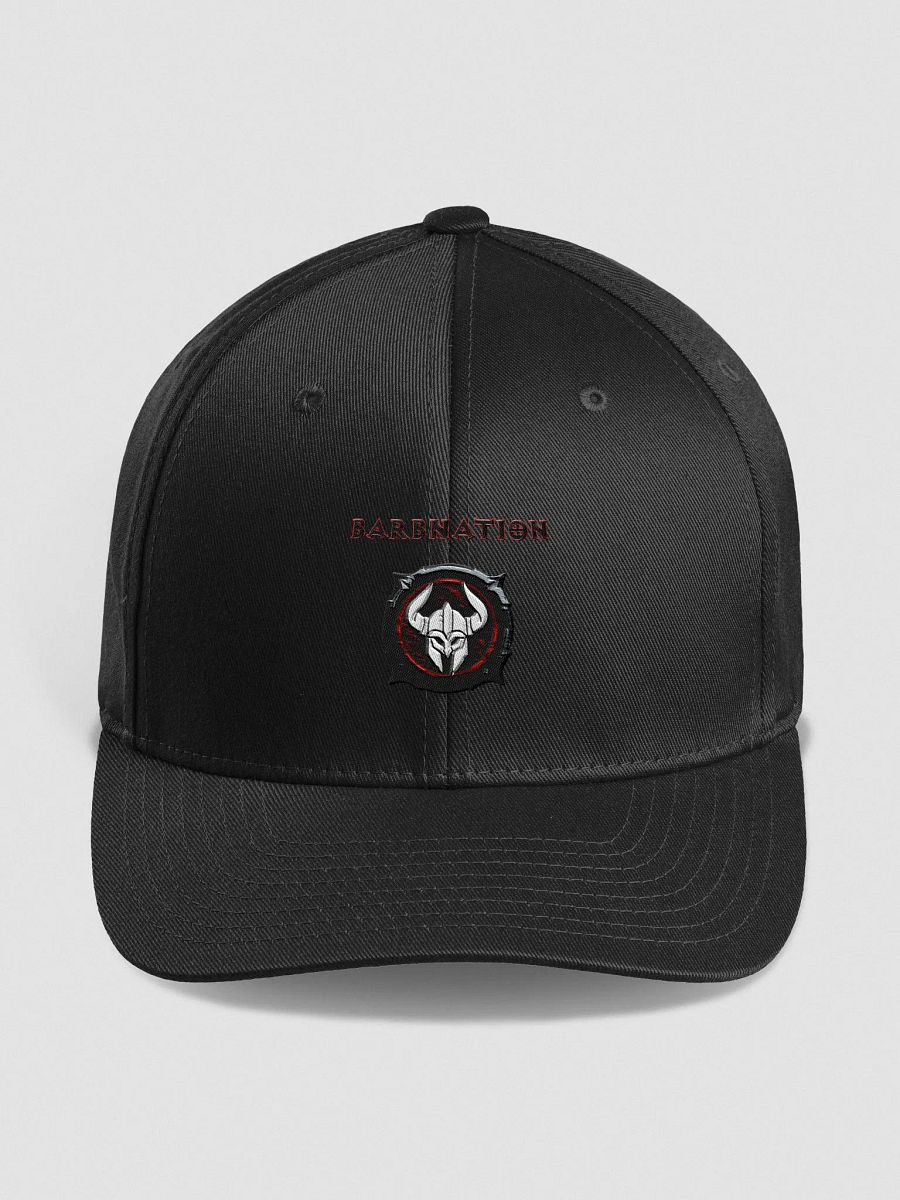 Barbnation embroidered hat product image (8)