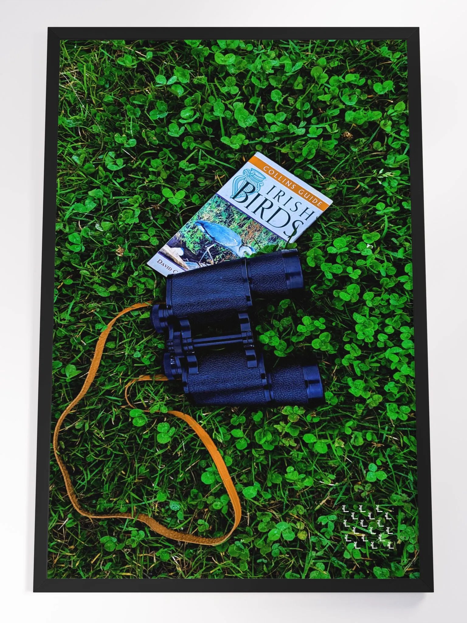 Birdwatching at Blackrock - Framed Print product image (1)