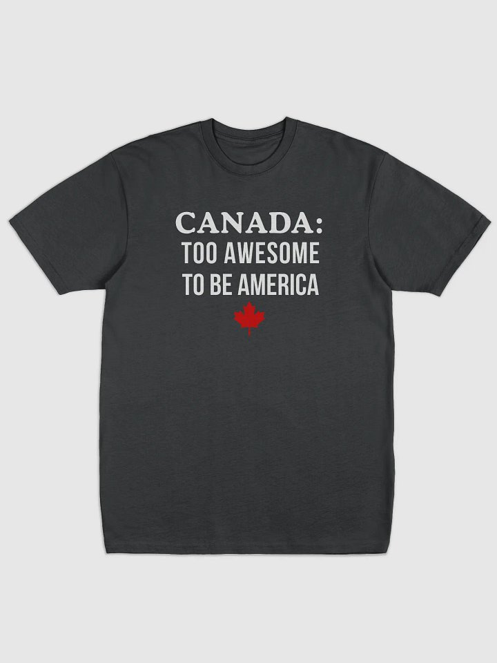 Canada Awesome Heavyweight Tee product image (1)