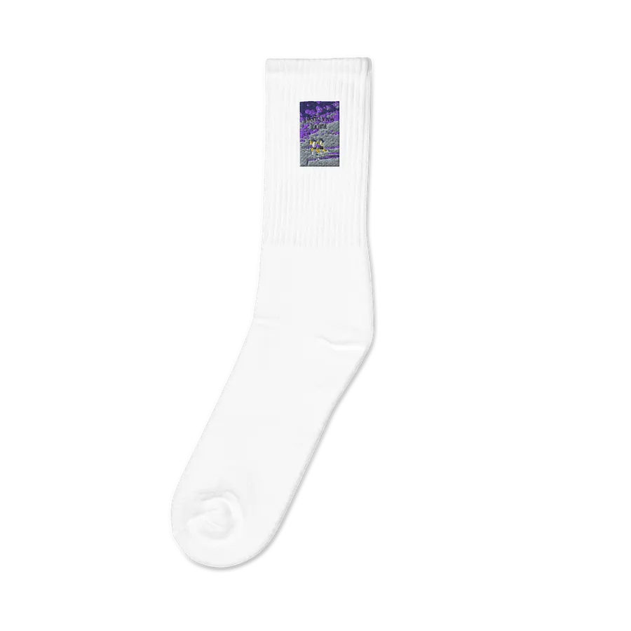pierist view point product image (1)