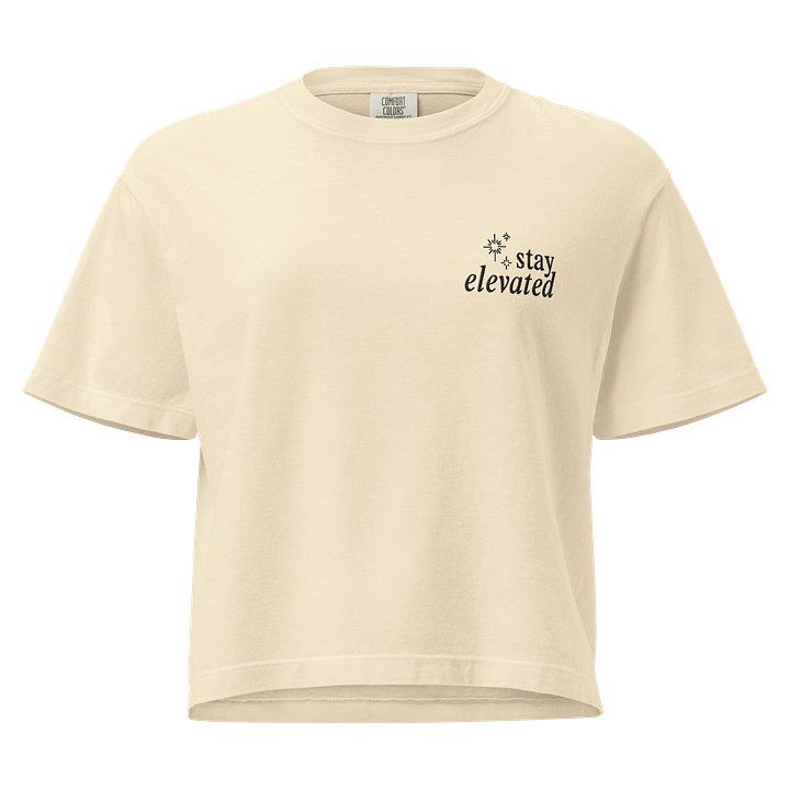 Stay Elevated Box Crop Embroidered Tee (Light) product image (1)