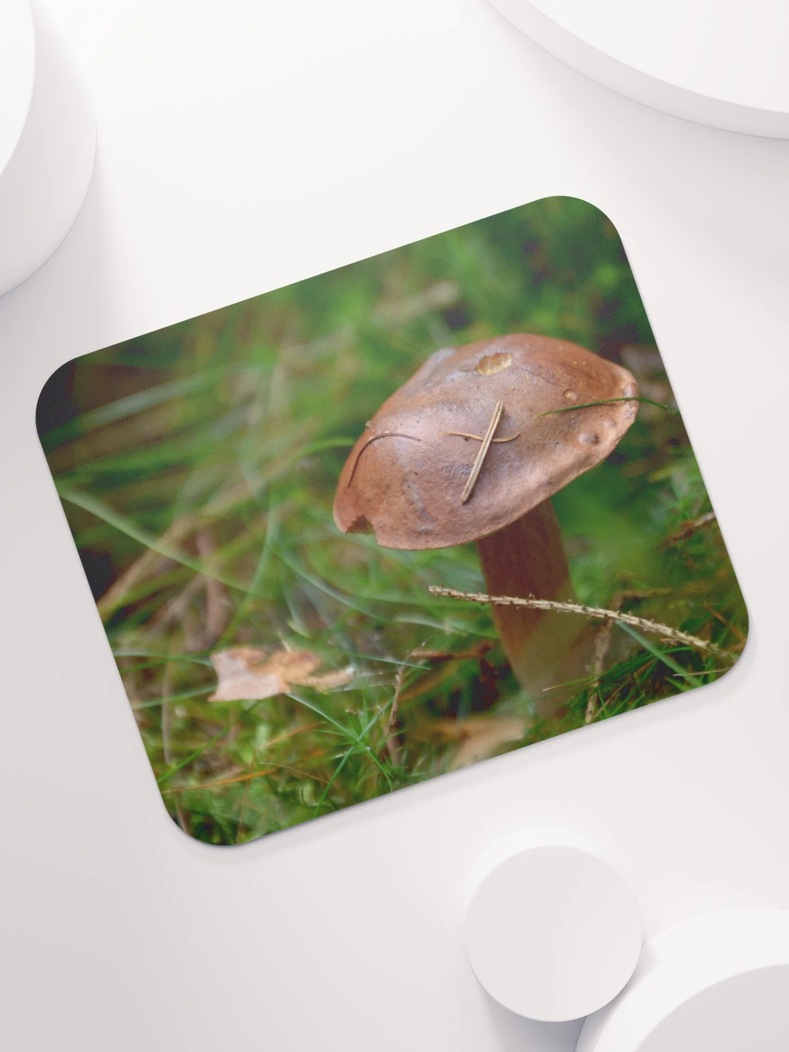 Mauspad - Pilz im Moos product image (7)