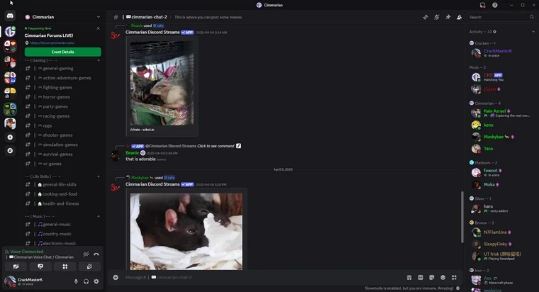 Cimmarian Discord