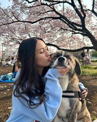 Hanami + touching grass🌸🧸