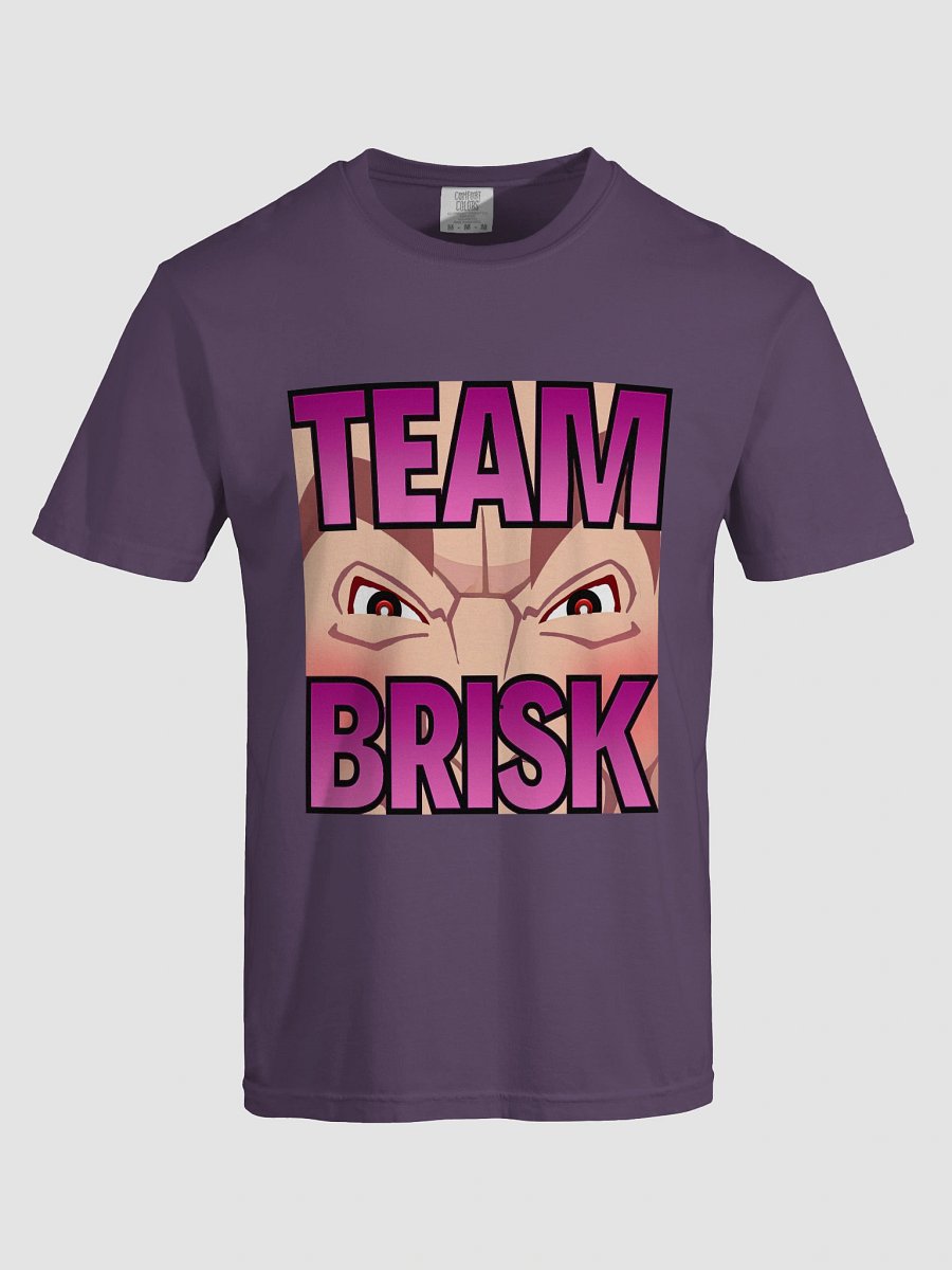 Team Brisk Heavyweight Tee Pink Fade Logo product image (29)