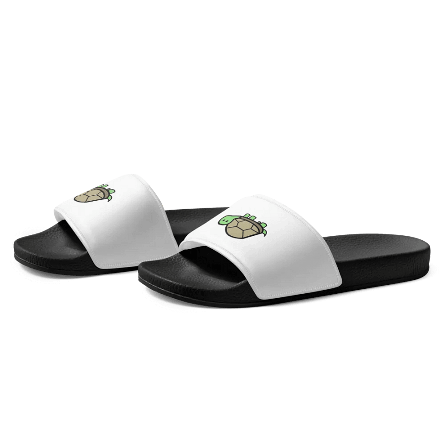 turtle flips product image (3)