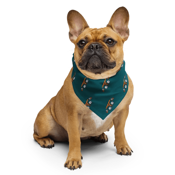 MSLA Community Cup - Bandana product image (2)