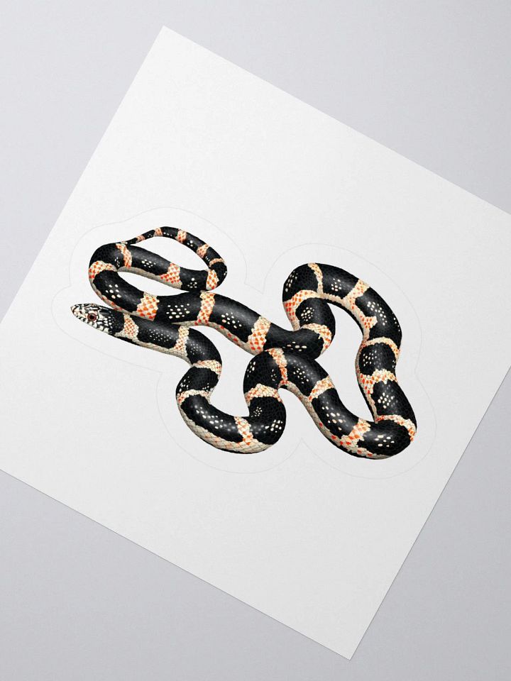Die-Cut Sticker – Longnosed Snake product image (2)