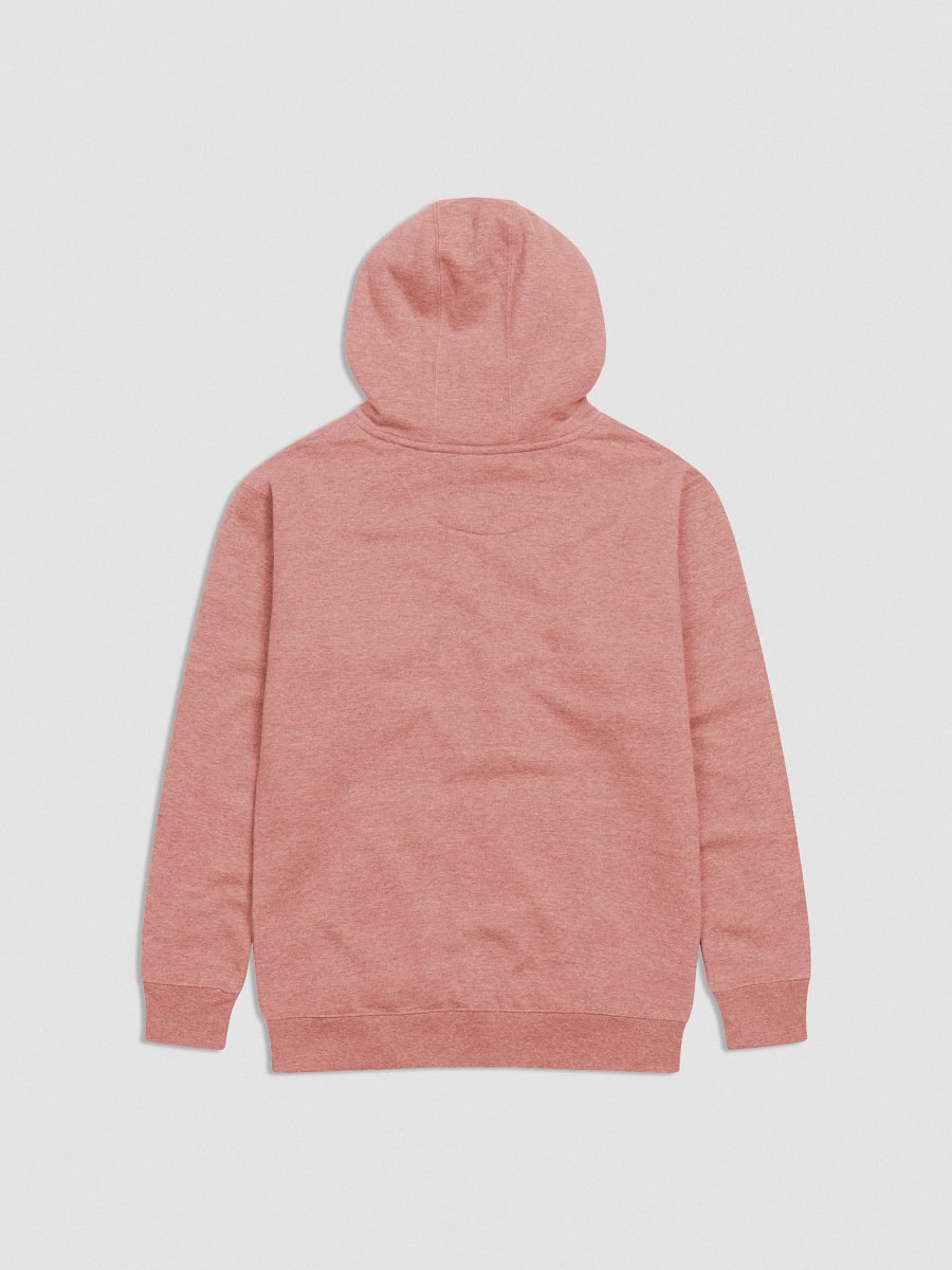 slexify Embroidered Unisex Hoodie product image (4)