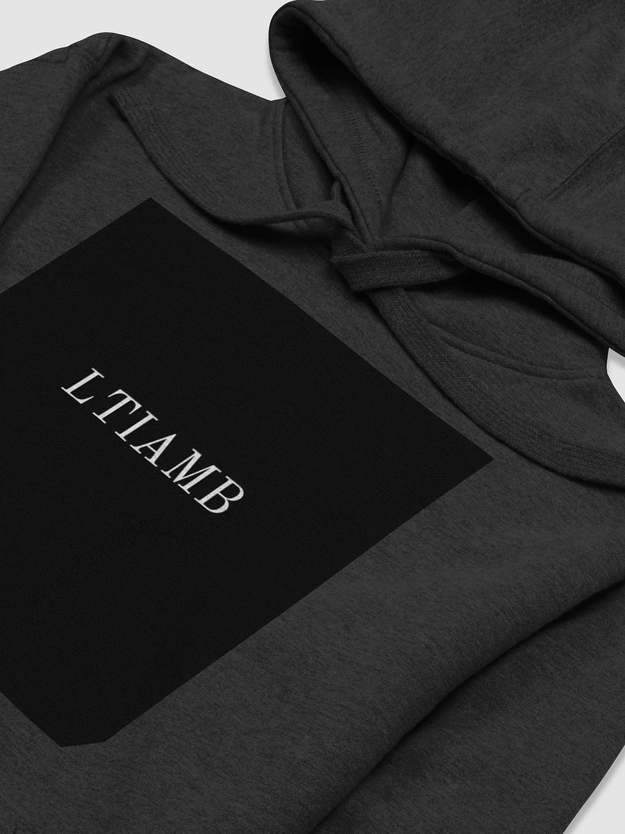 LTIAMB Hoodie product image (3)