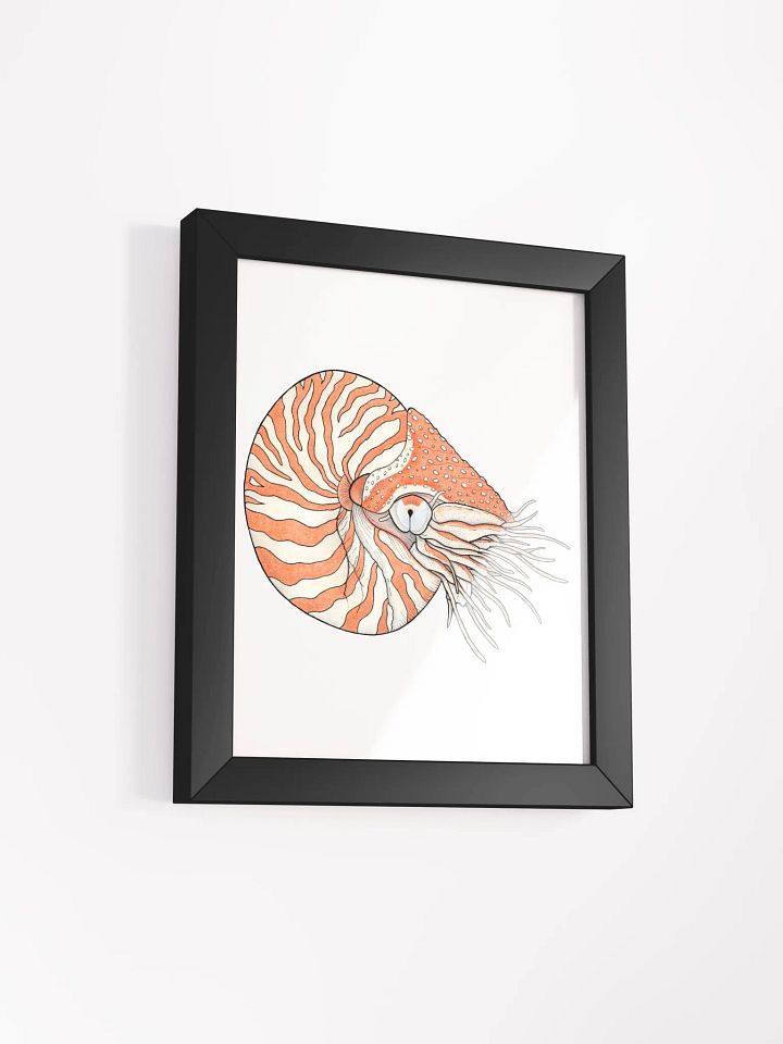 Ancient Mollusk framed print product image (2)