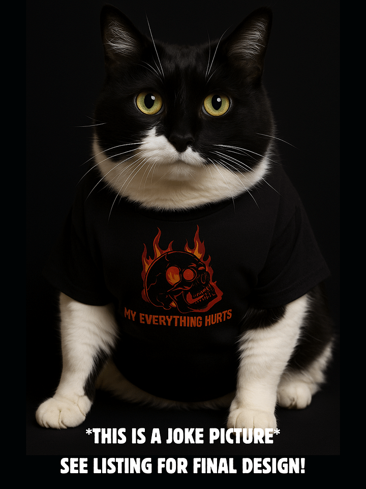 My Everything Hurts! Women's Soft V-Neck product image (2)