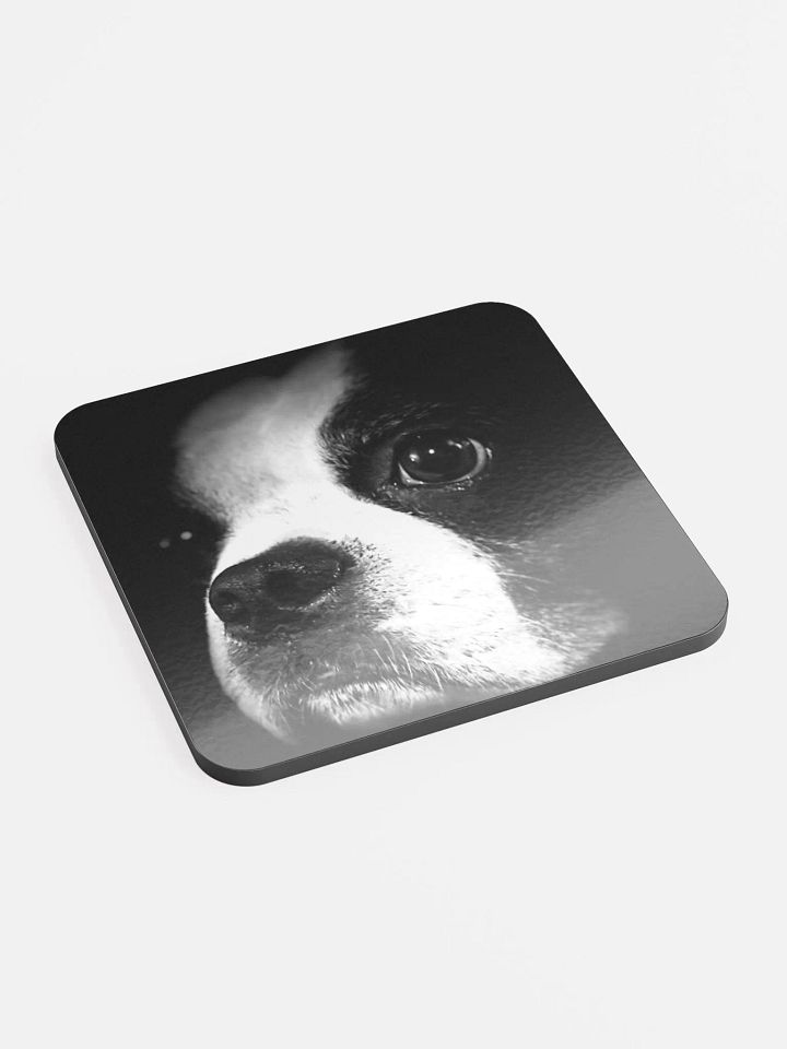 HOOGANCOASTER product image (2)