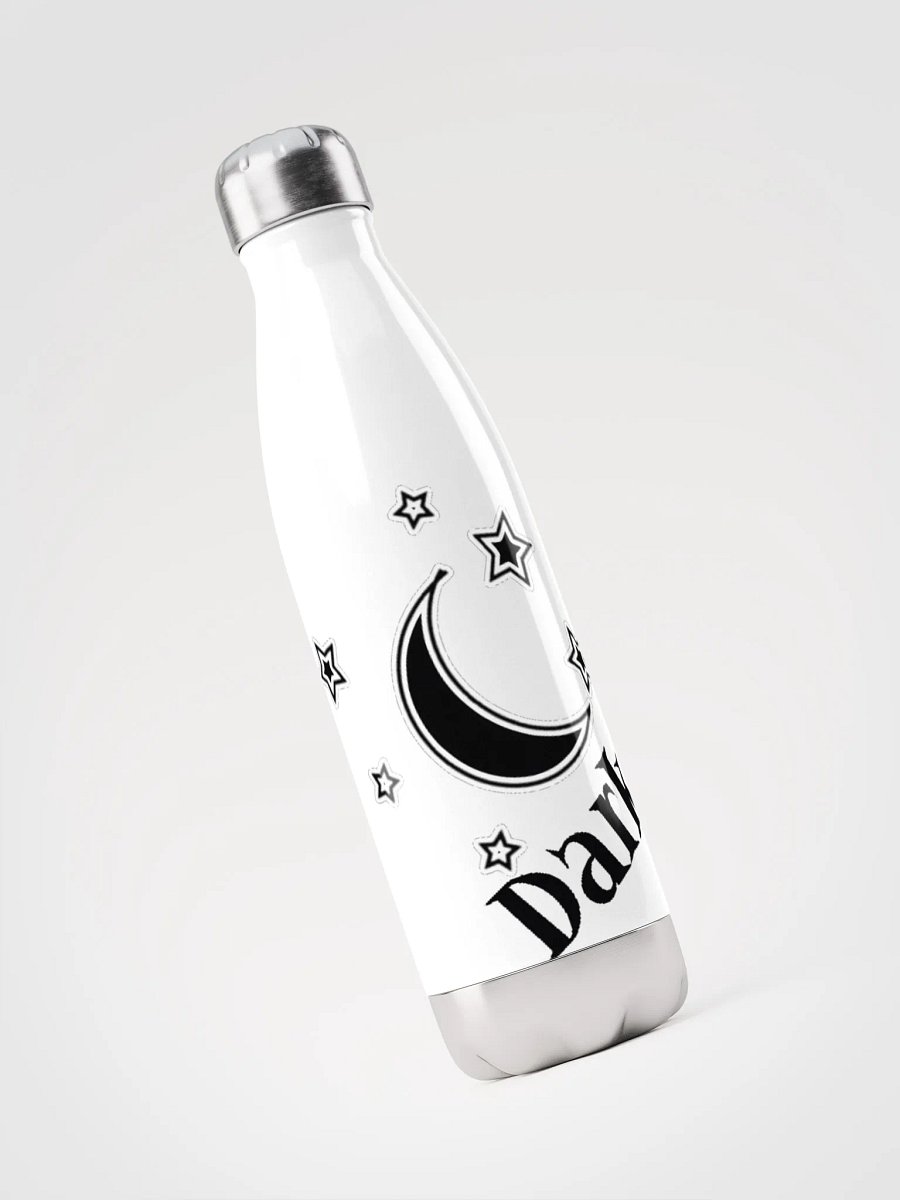 DarkSky Logo Stainless Water Bottle (Black) product image (3)