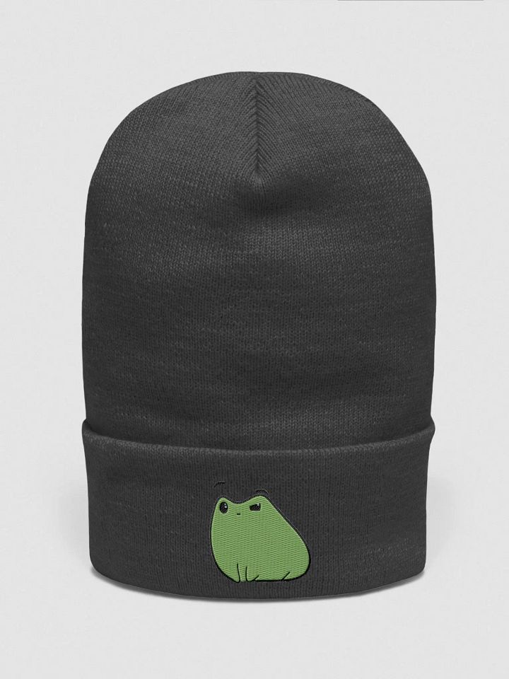 WTF Froge Hat product image (1)
