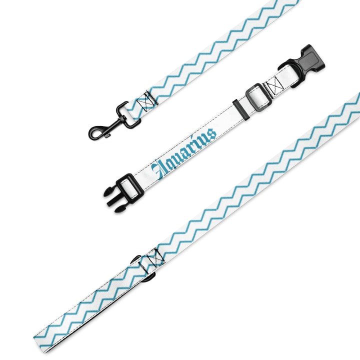 Glitchwave Aquarius Pet Collar & Leash Set product image (1)