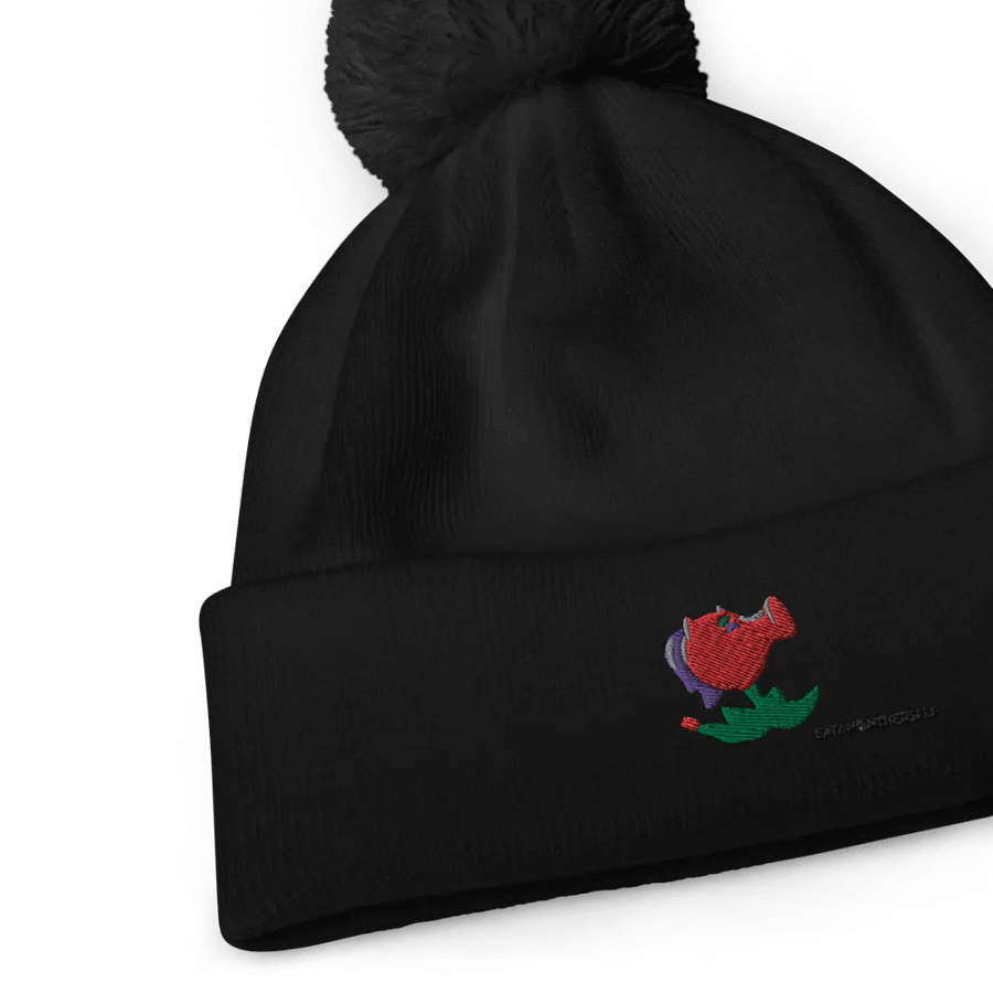 Spicy Pea Pompom Beanie product image (7)