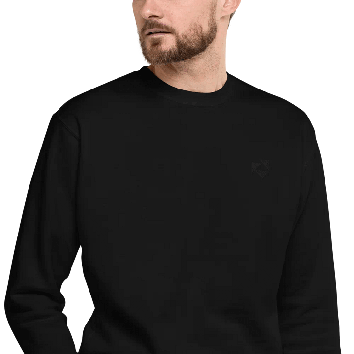 Embroidered Logo (Subtle) Sweatshirt product image (2)