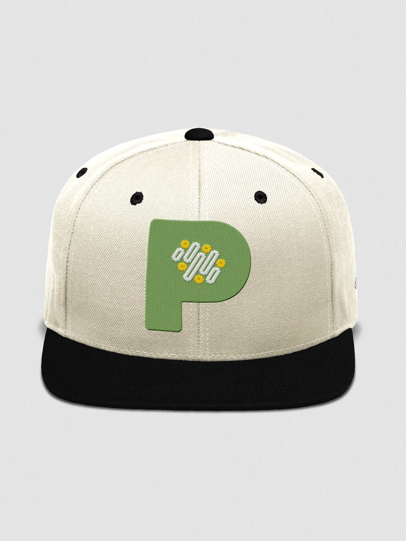 Pixmin Icon Snapback Cap