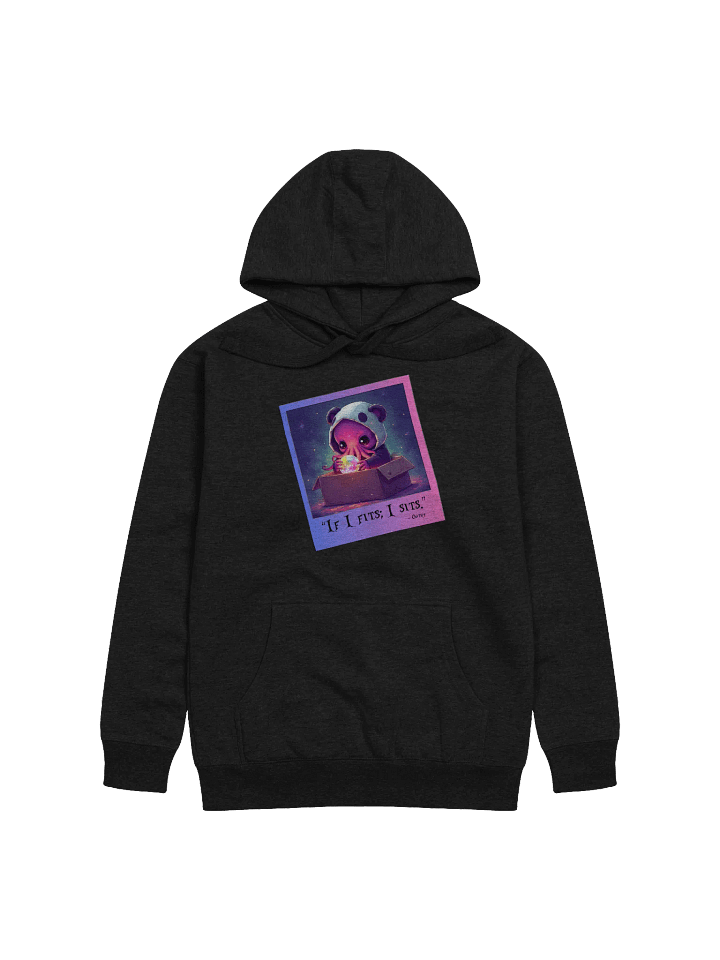 If I Fits; I Sits! Hoodie product image (85)
