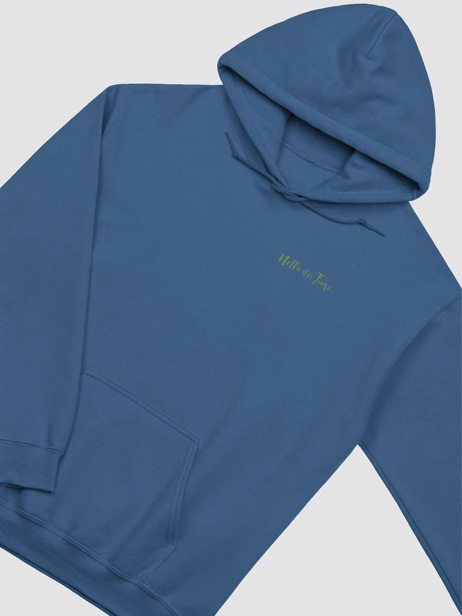 Pivoine NDF Classic Hoodie product image (30)