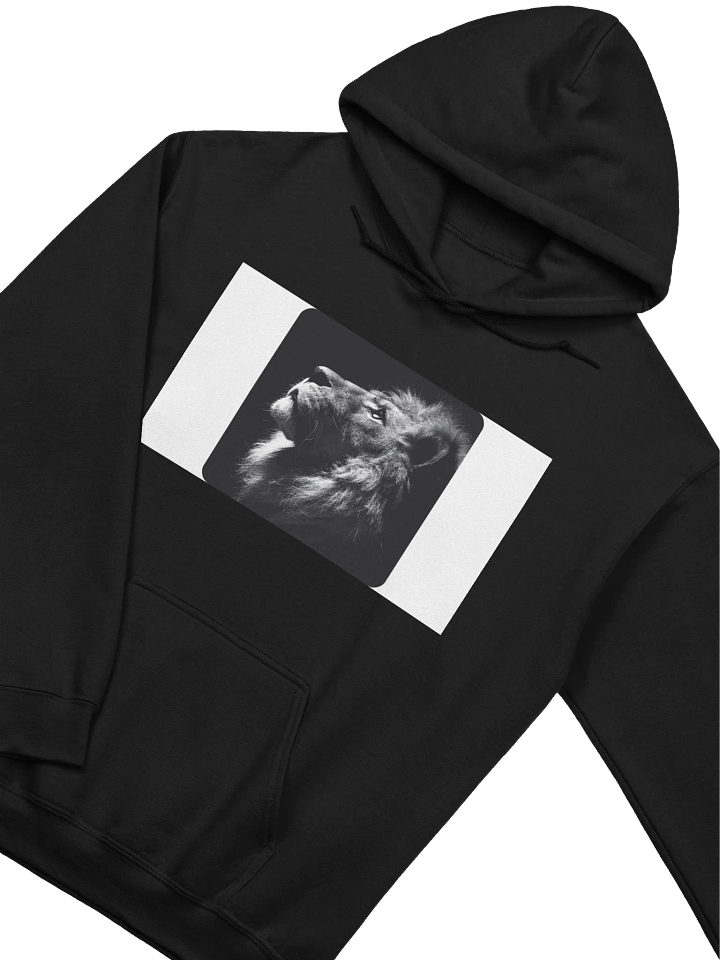 Sudadera deportiva product image (1)