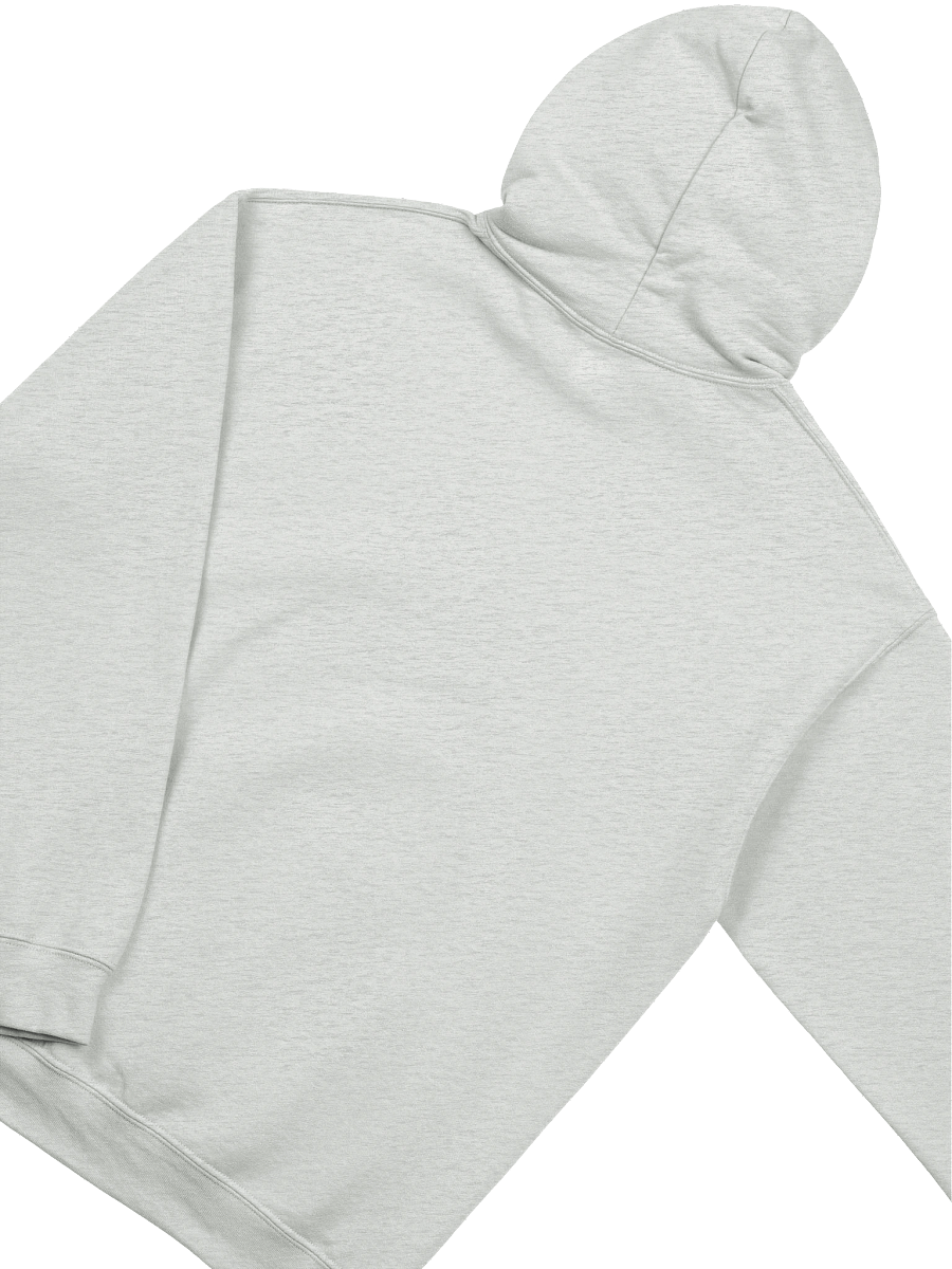 The Way The Truth Hoodie product image (24)