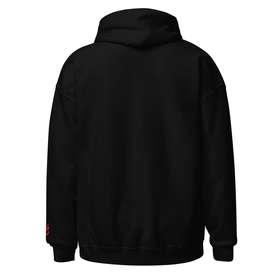 CYBR Hoodie Embroidered product image (2)