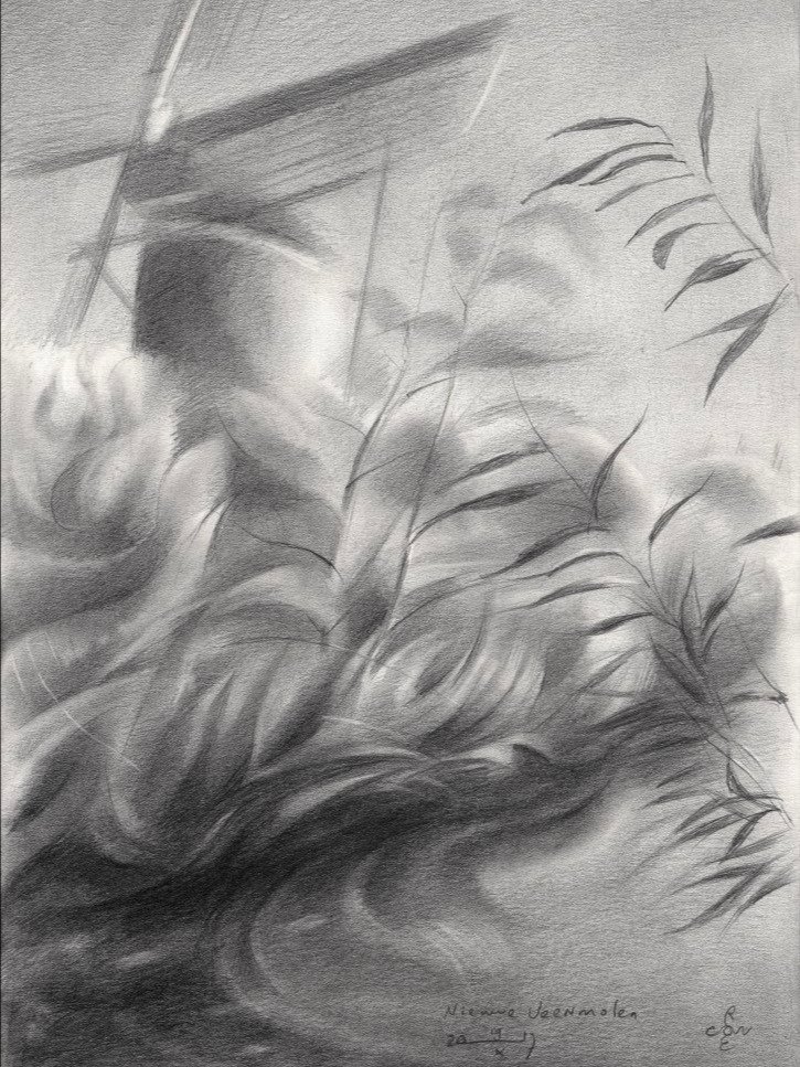 Nieuwe Veenmolen - 19-10-17 product image (1)