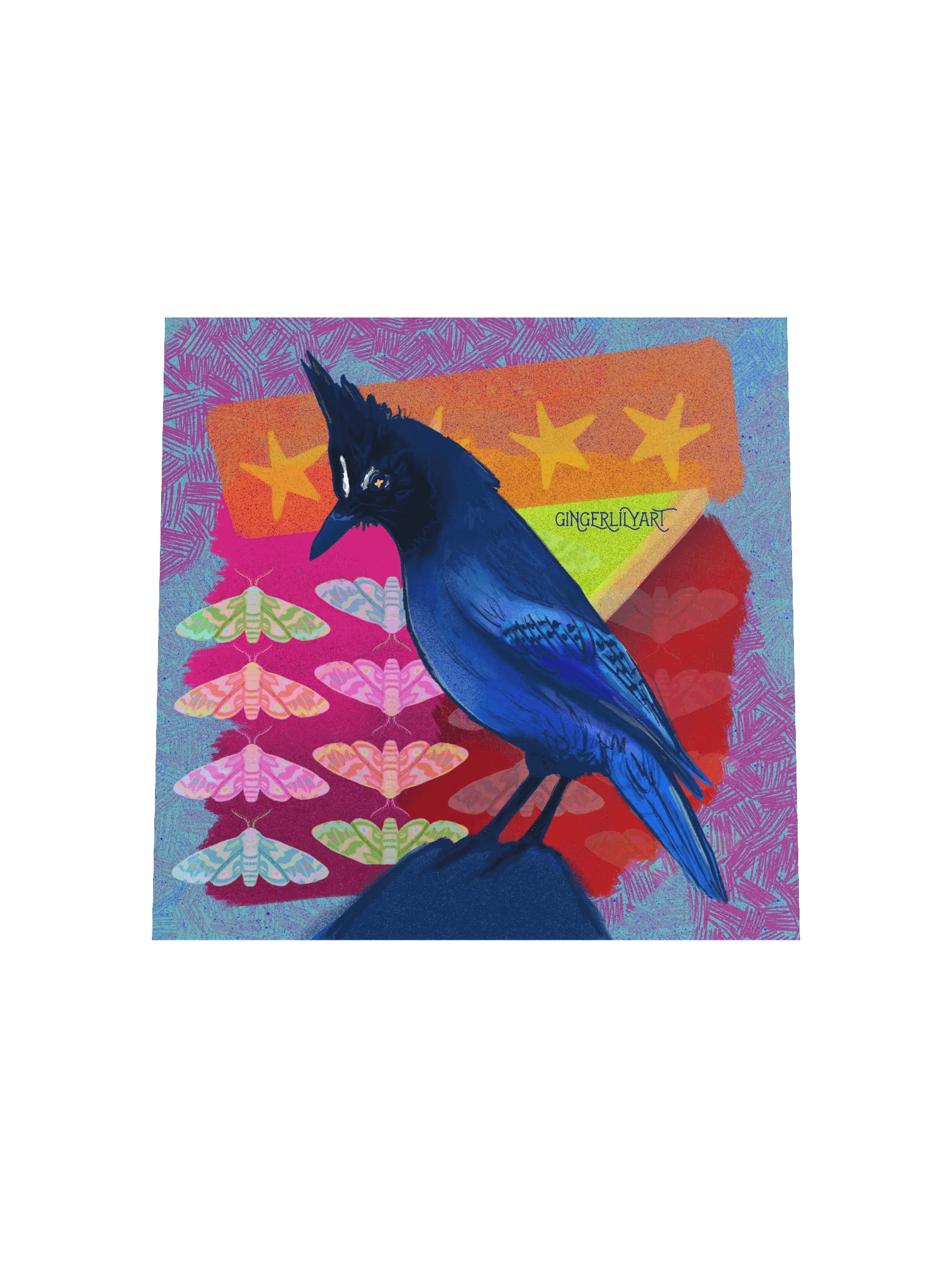 steller's jay print product image (16)