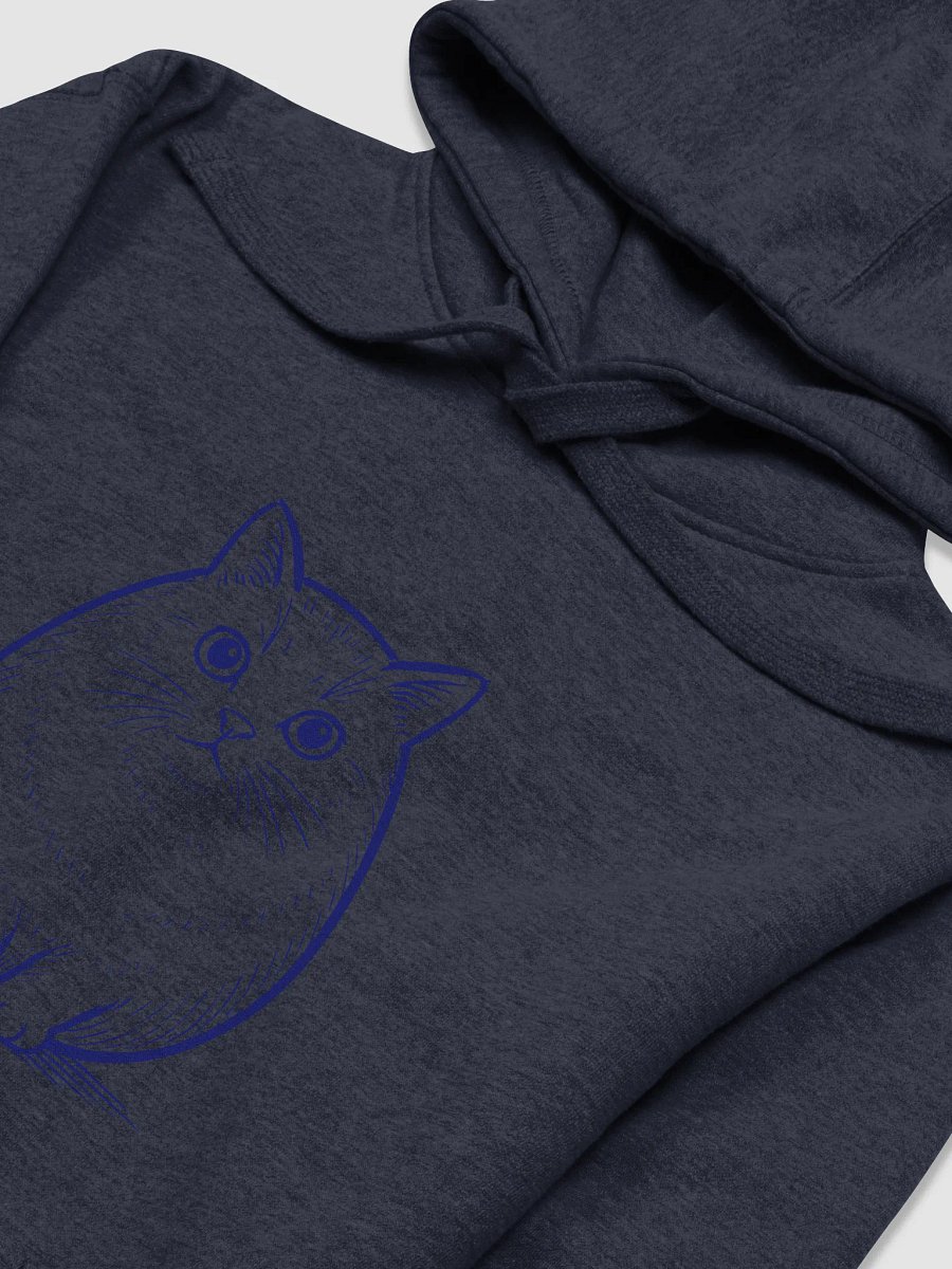 Cat product image (29)