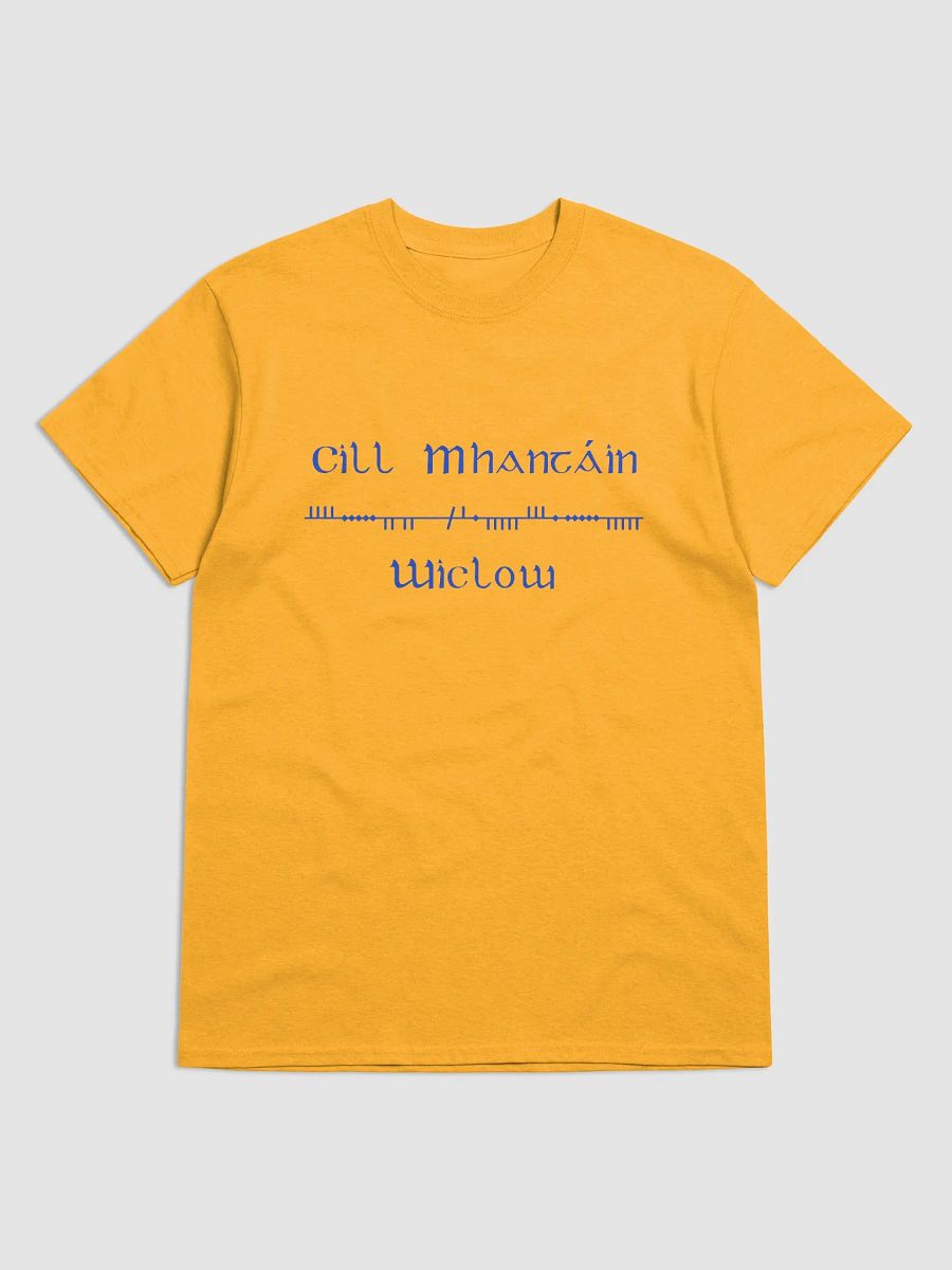 Wicklow/Cill Mhantáin Scholastic style Ogham gold printed T-shirt product image (1)
