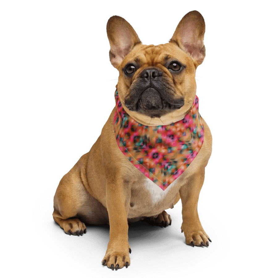 Aura Bandana product image (4)