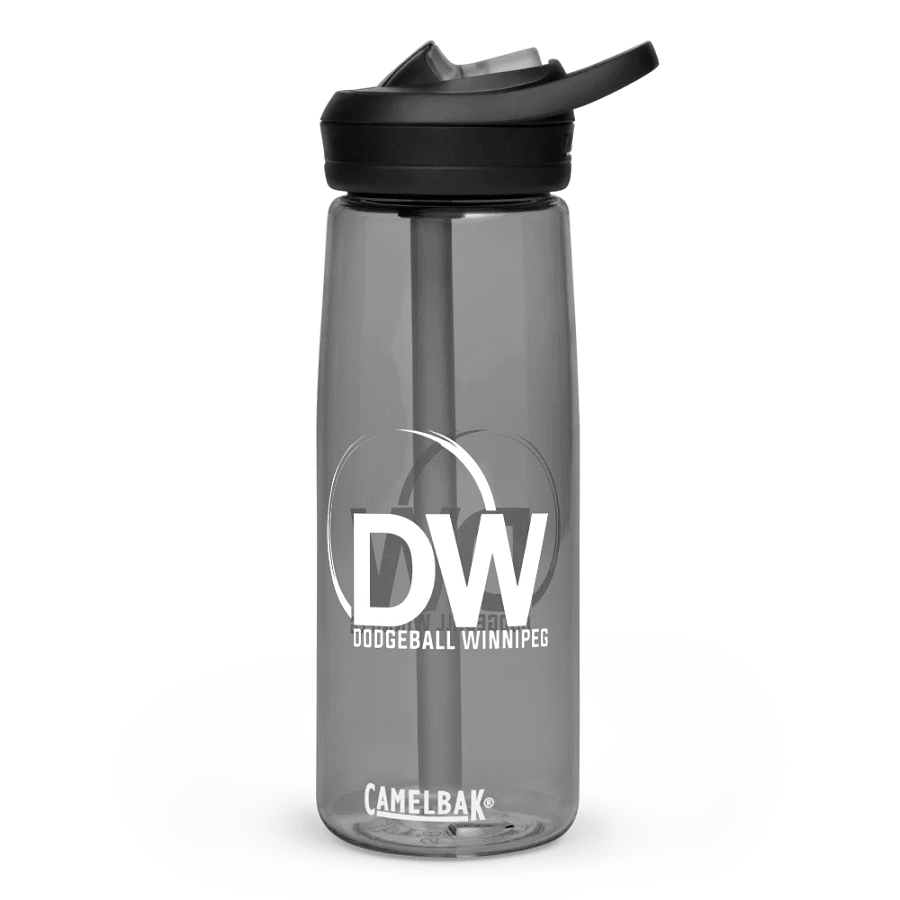 Dodgeball Winnipeg Water Bottle product image (1)