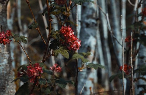 To see more visit me at www.christianhuntphotography.com!
To show support please Like, Share, Follow and Comment! 
.
.
.
.
.
...