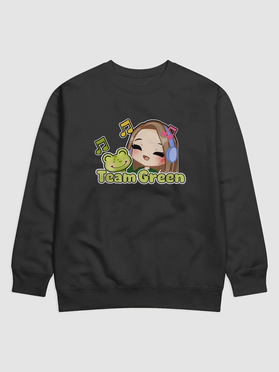 Team RPGreen Sweater product image (2)