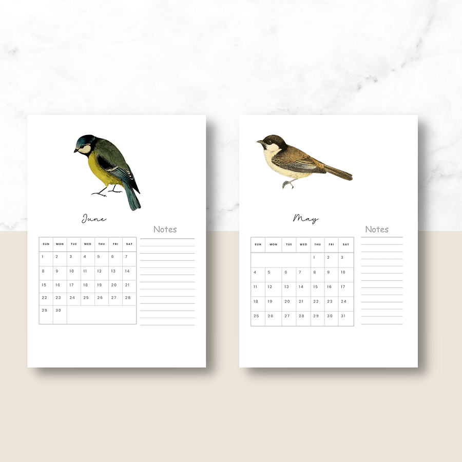 2025-2026 PDF Calendar: American Birds product image (5)