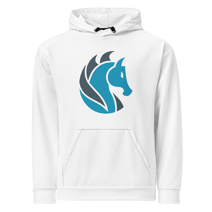 Hoodie product image (1)