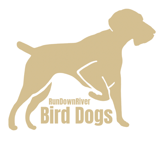 Bird Dogs