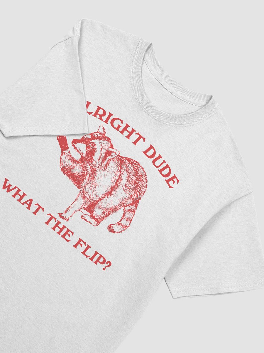 Alright dude what the flip raccoon product image (3)