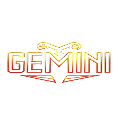 Gemini ツ