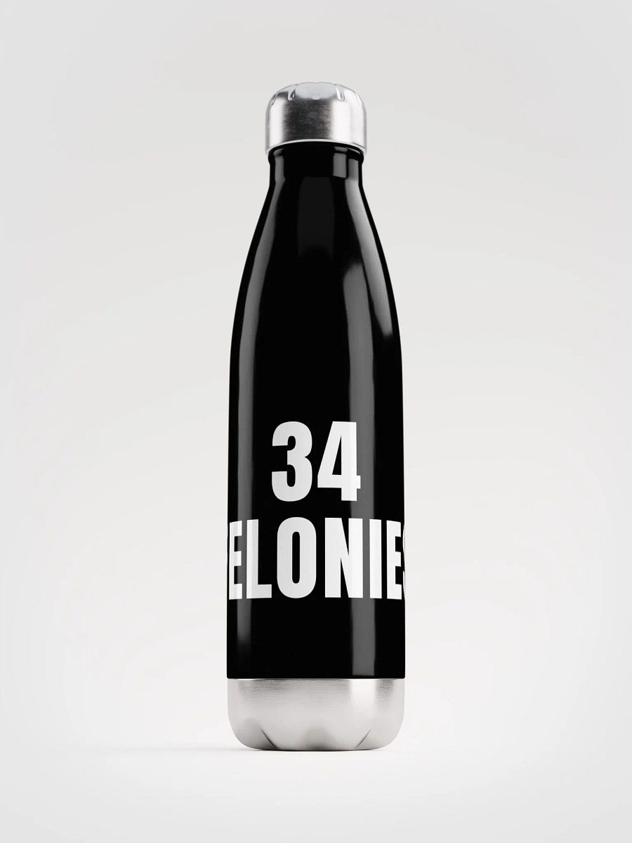 Pris-34 FELONIES -Stainless Steel Water Bottle product image (1)