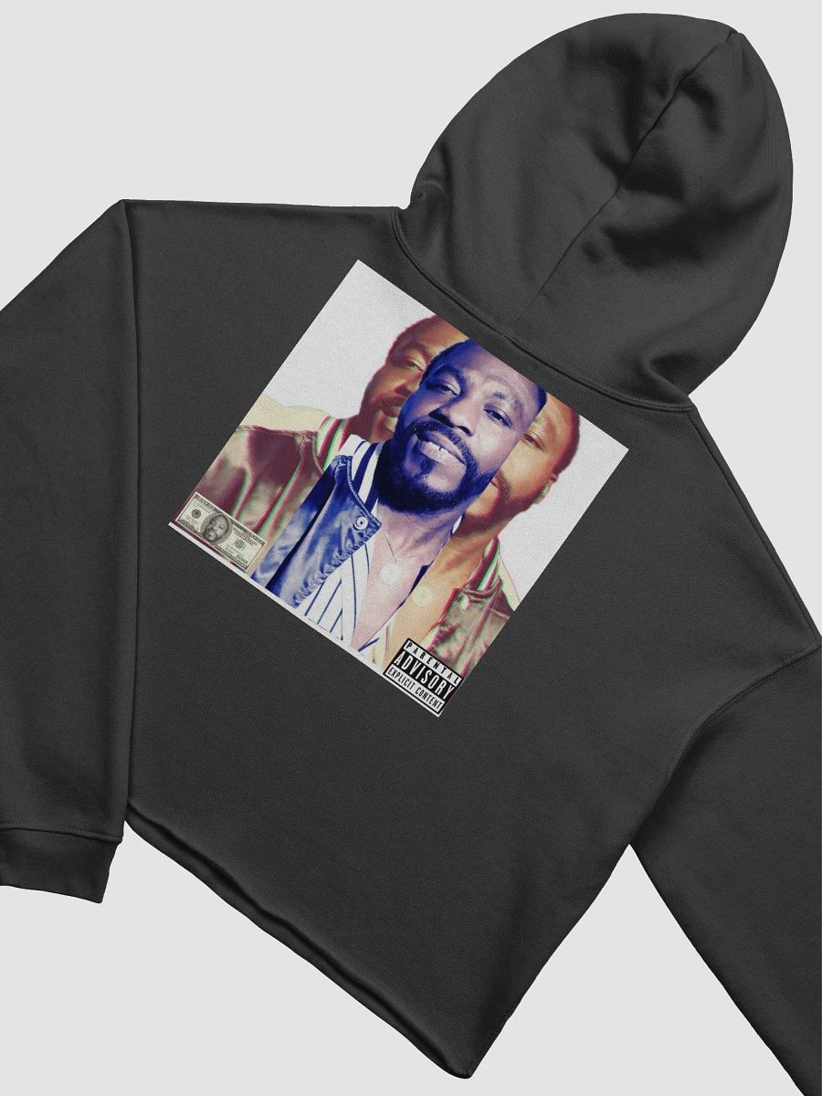 Rhapsody in Metallic Crop Hoodie product image (14)
