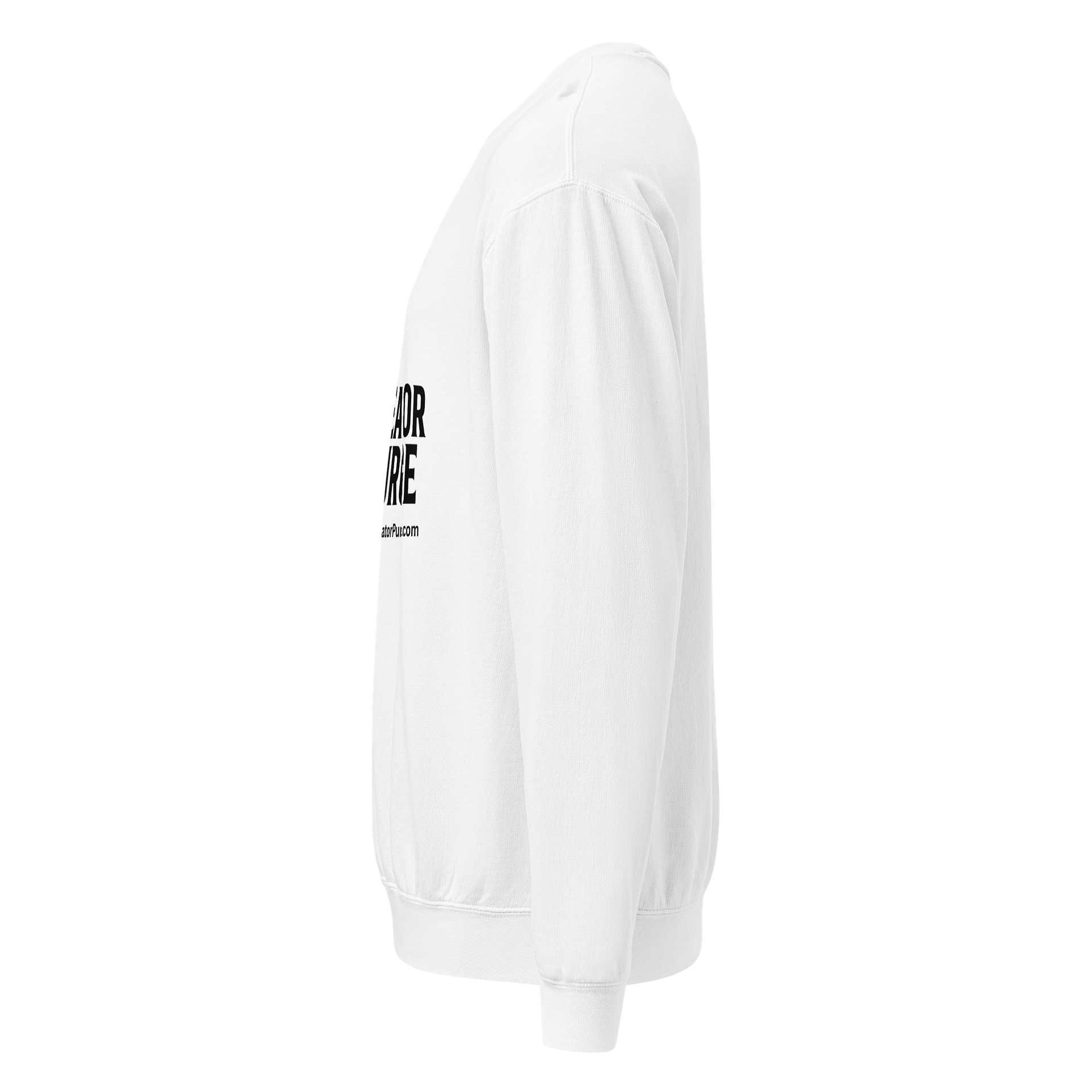 Creator Purge Women's Hooded Fleece Sweatshirt product image (3)