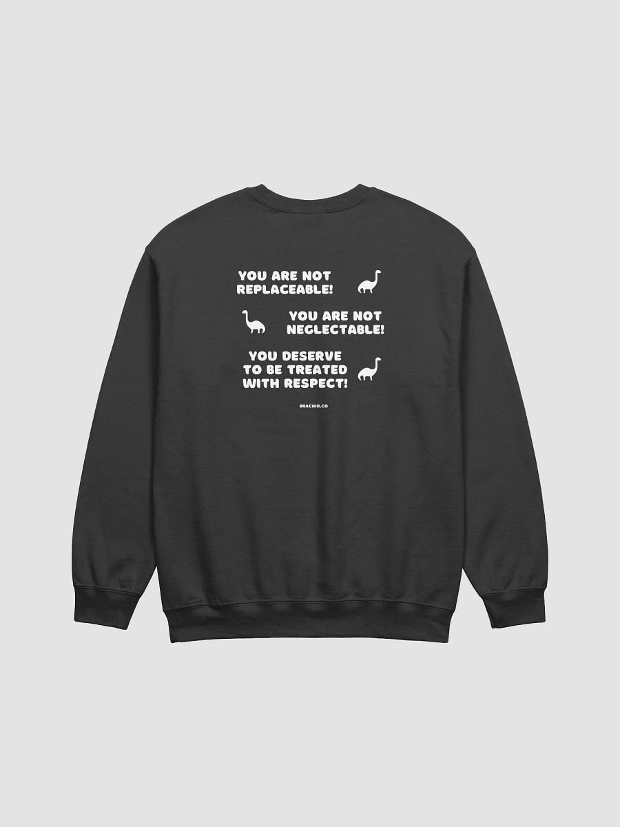 Dinoland Affirmations Sweatshirt product image (4)