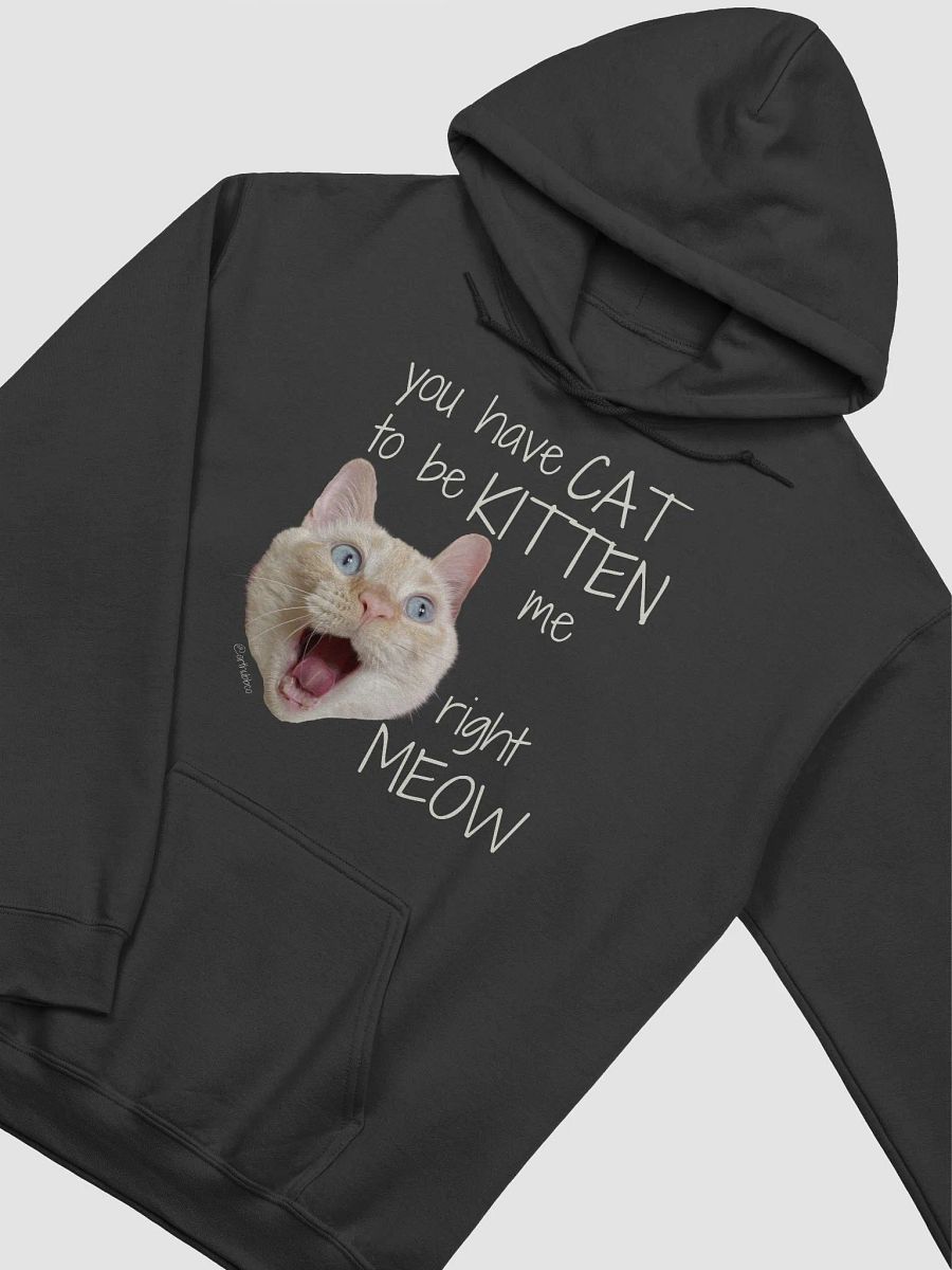 You have CAT to be KITTEN me right MEOW Hoodie product image (2)