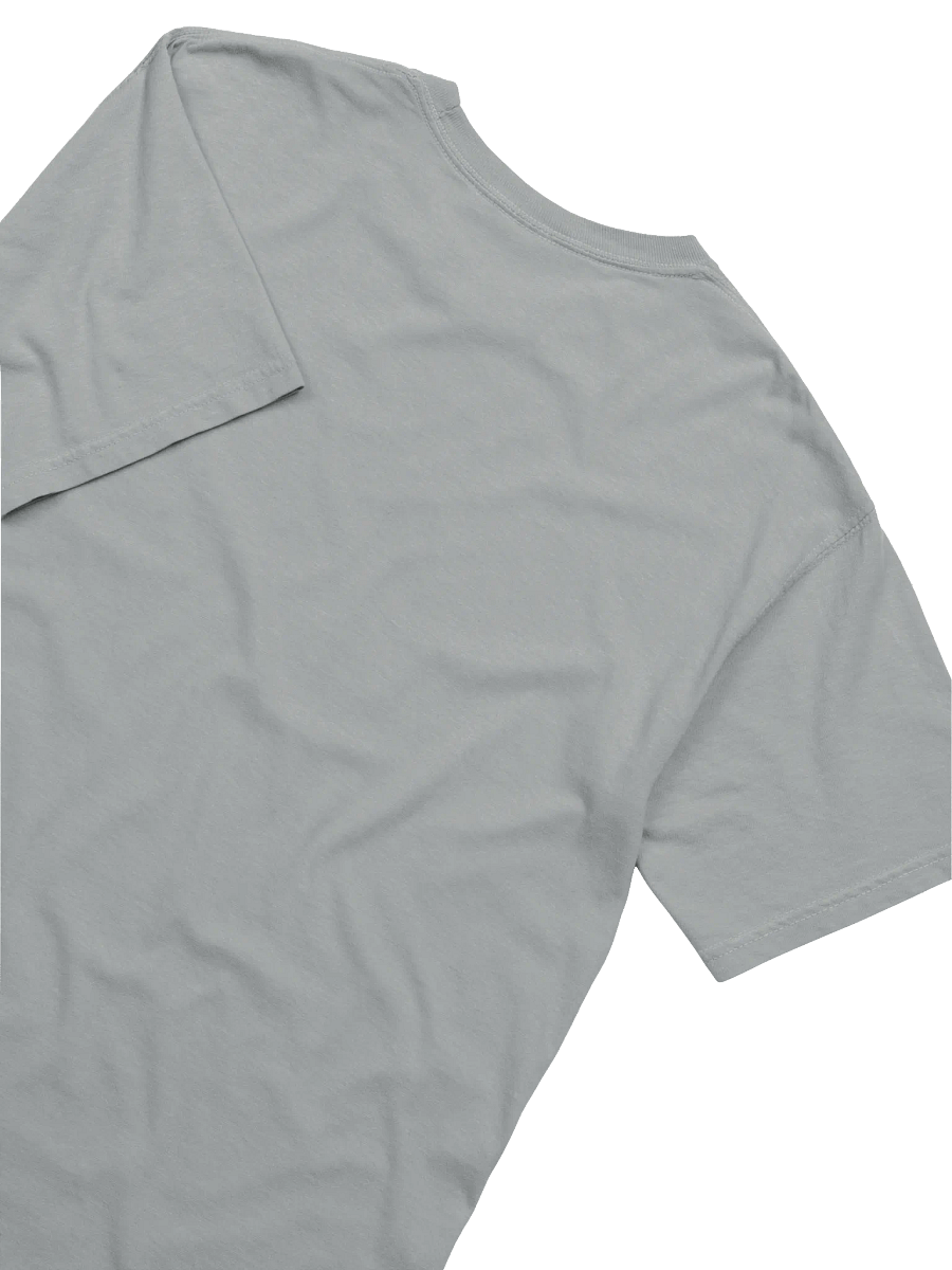 Snowboarder Lockup Logo | Crew T-Shirt (Light) product image (12)
