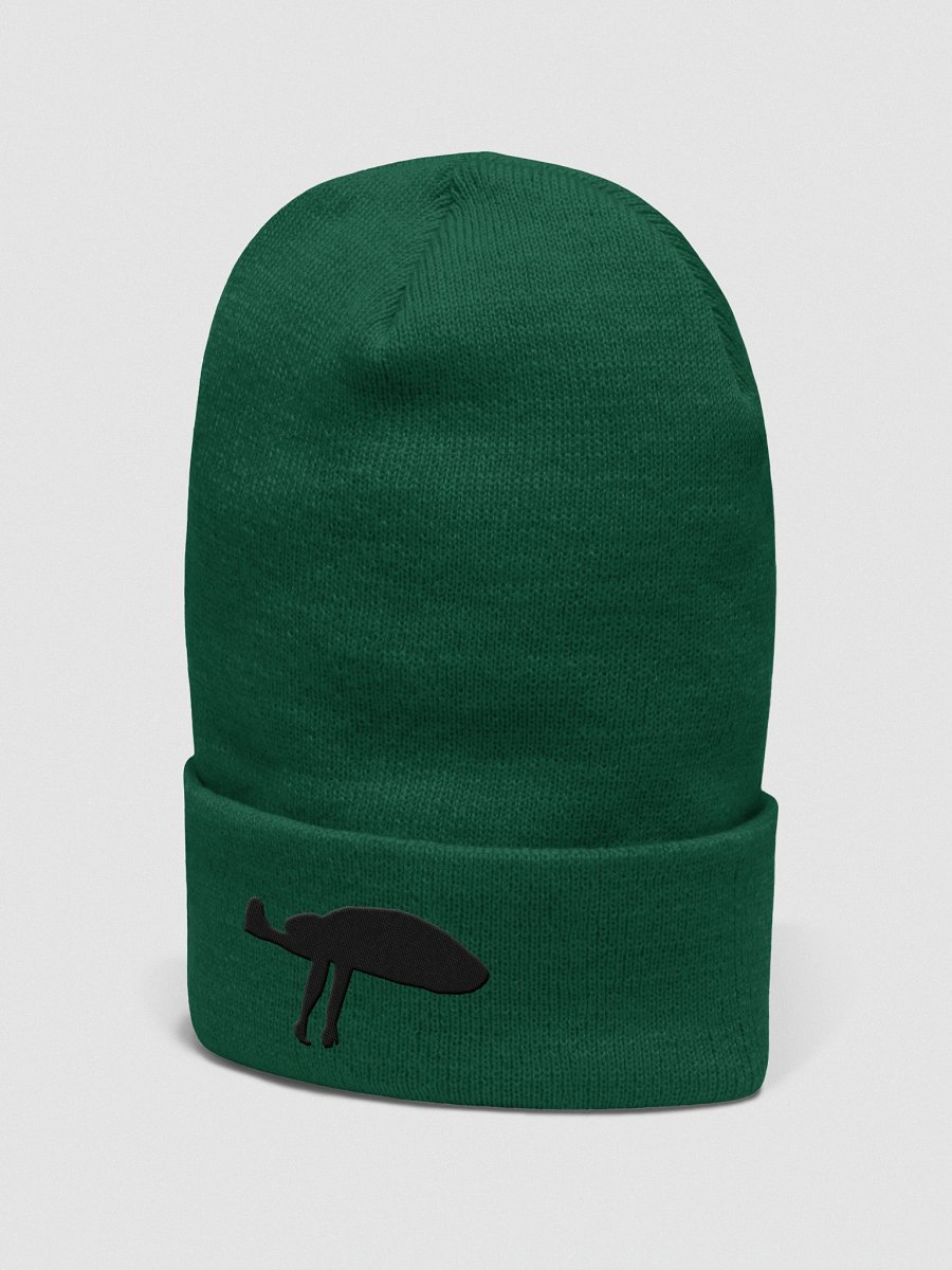 The Anomaly Beanie product image (11)