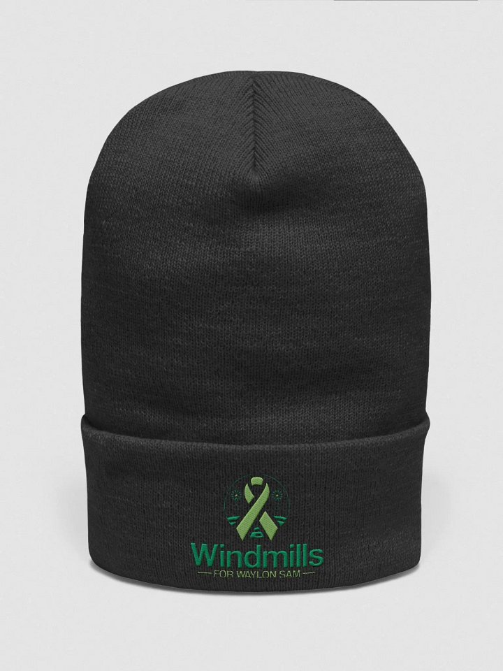 Windmills For Waylon Sam Beanie product image (1)